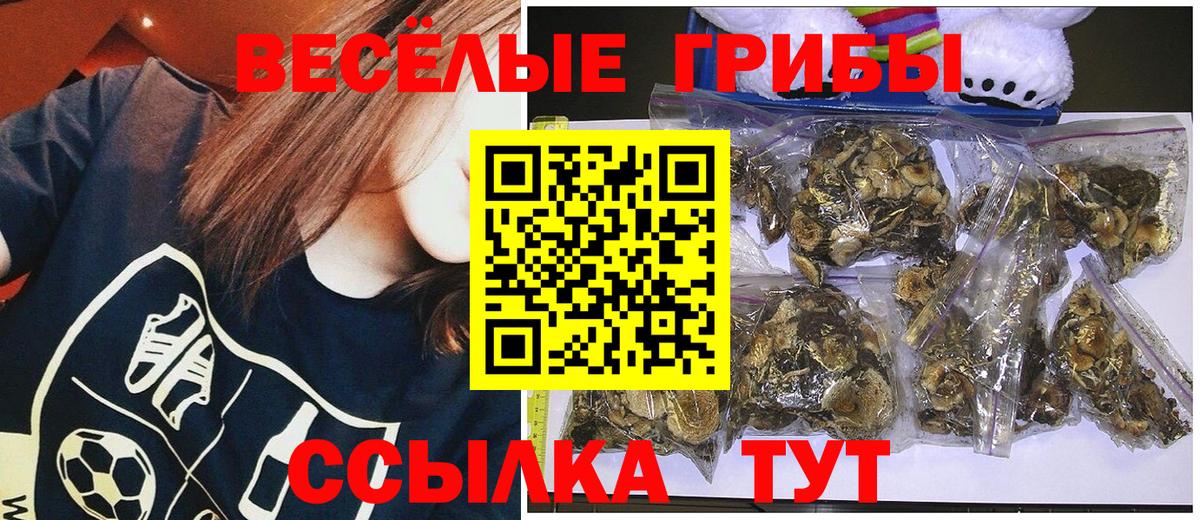 Псилоцибиновые грибы Magic Shrooms Белорецк
