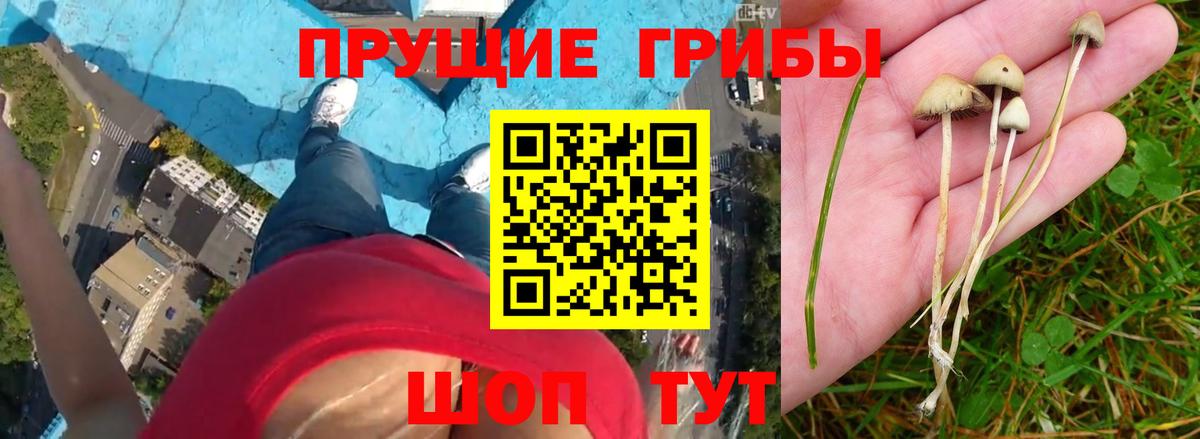 Галлюциногенные грибы прущие грибы  Галлюциногенные грибы MAGIC MUSHROOMS  Вход с VPN  Белорецк 